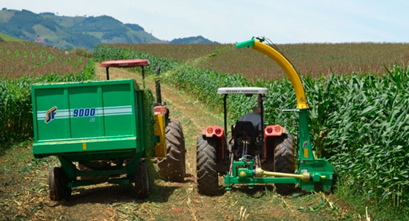 O Processador de Grãos Número 1 no Mundo